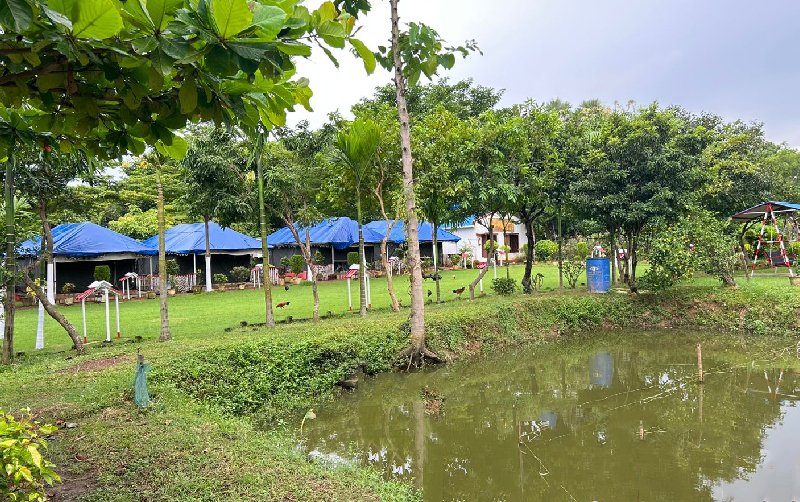 Best Resort Services